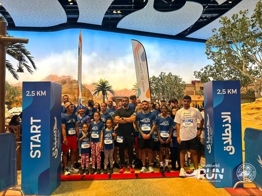 SeaWorld Run | Walrus Series 