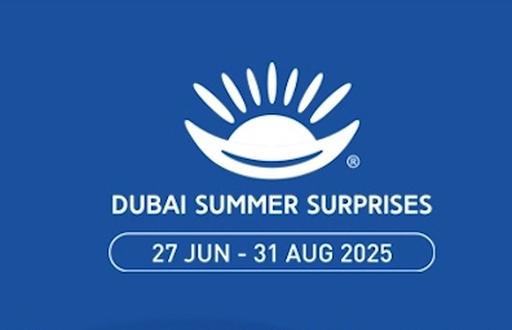 DSS logo  logo